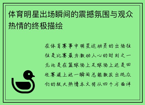 体育明星出场瞬间的震撼氛围与观众热情的终极描绘