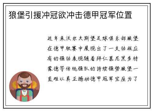 狼堡引援冲冠欲冲击德甲冠军位置